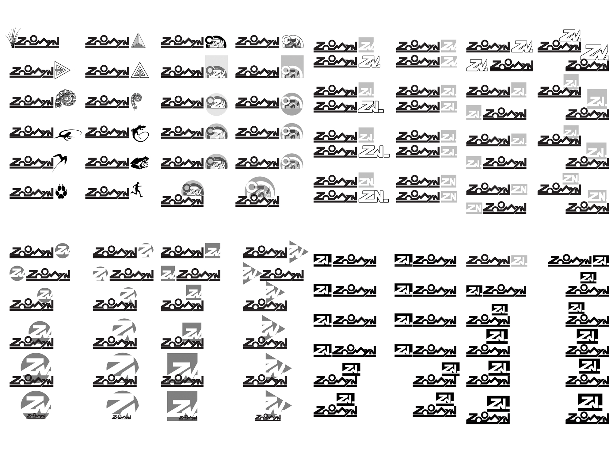 RECHERCHES RAPPEL GRAPHIQUE ZOOMYN